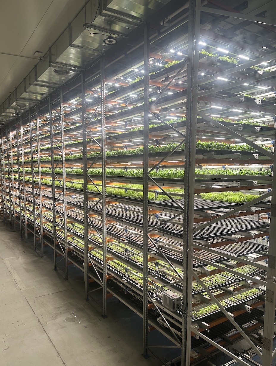Phyllome autonomous controlled-environment agriculture facility — sealed clean room with precision climate control