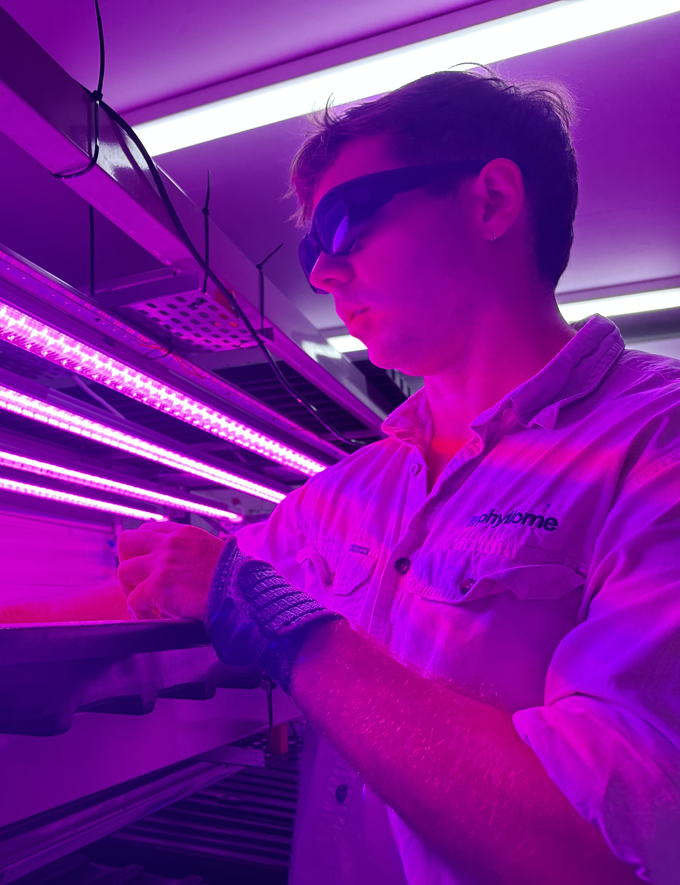Precision LED lighting tuned to optimal photosynthesis wavelengths for energy-efficient growing